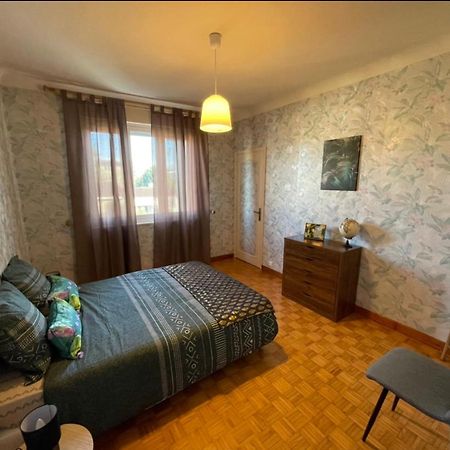 Tres Grand Appartement A 10 Min A Pied Du Centre Castres  Eksteriør bilde