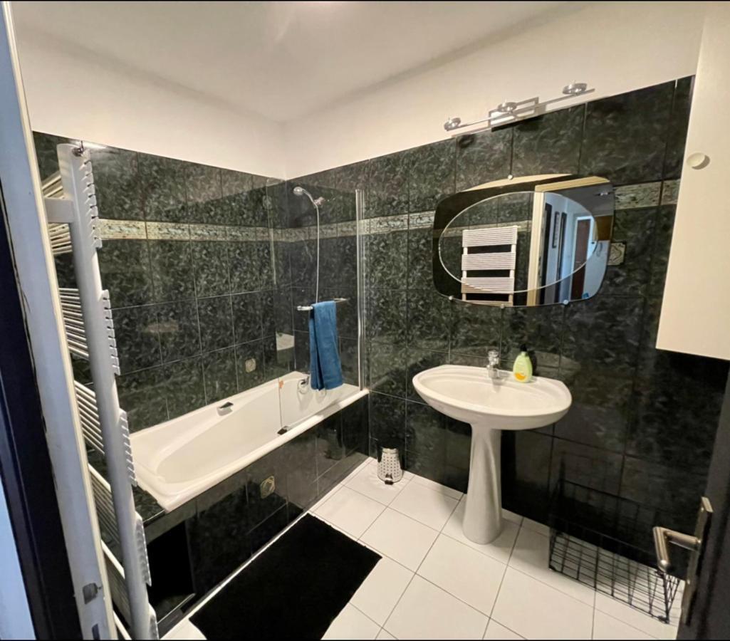 Tres Grand Appartement A 10 Min A Pied Du Centre Castres  Eksteriør bilde