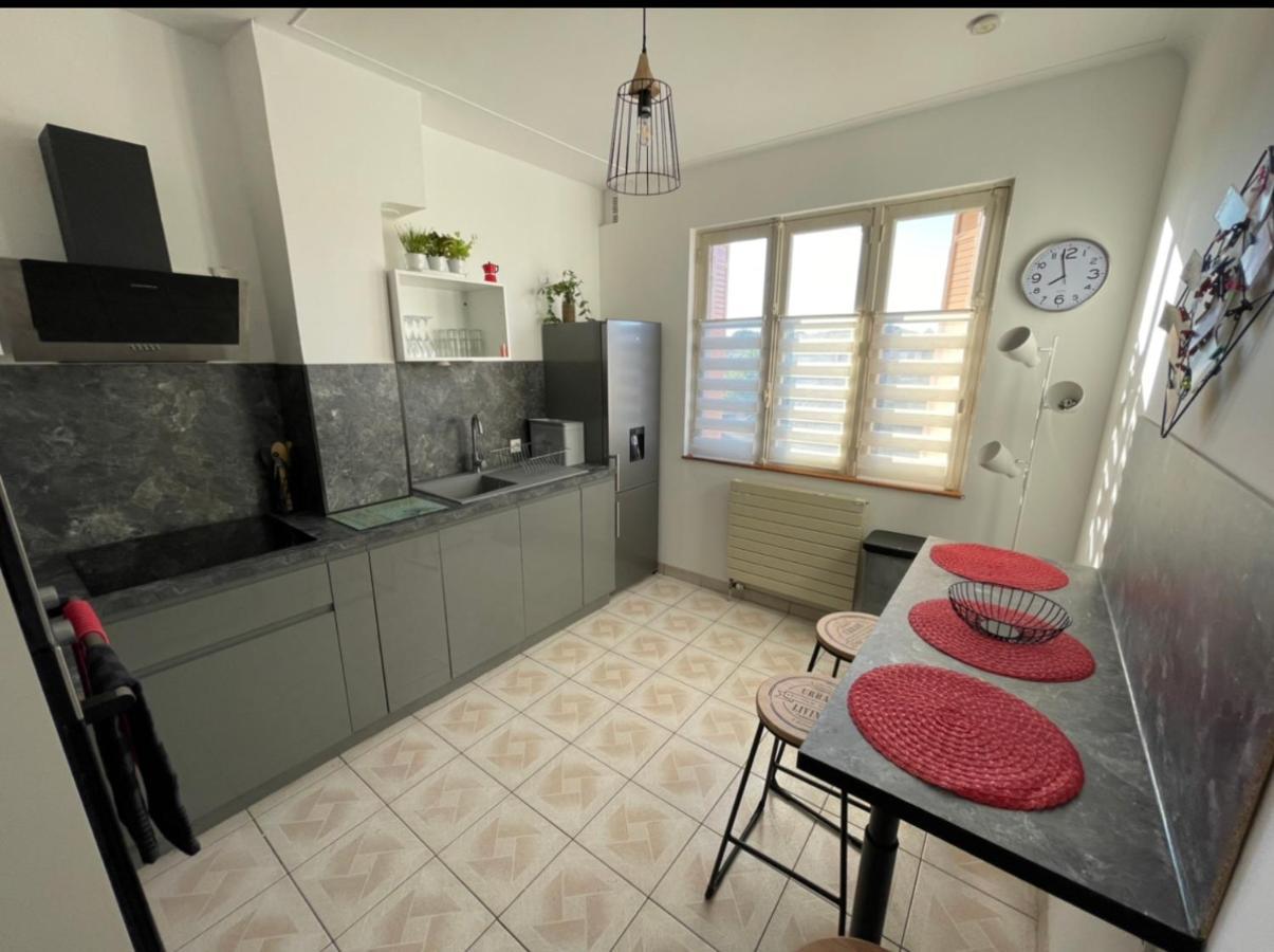 Tres Grand Appartement A 10 Min A Pied Du Centre Castres  Eksteriør bilde