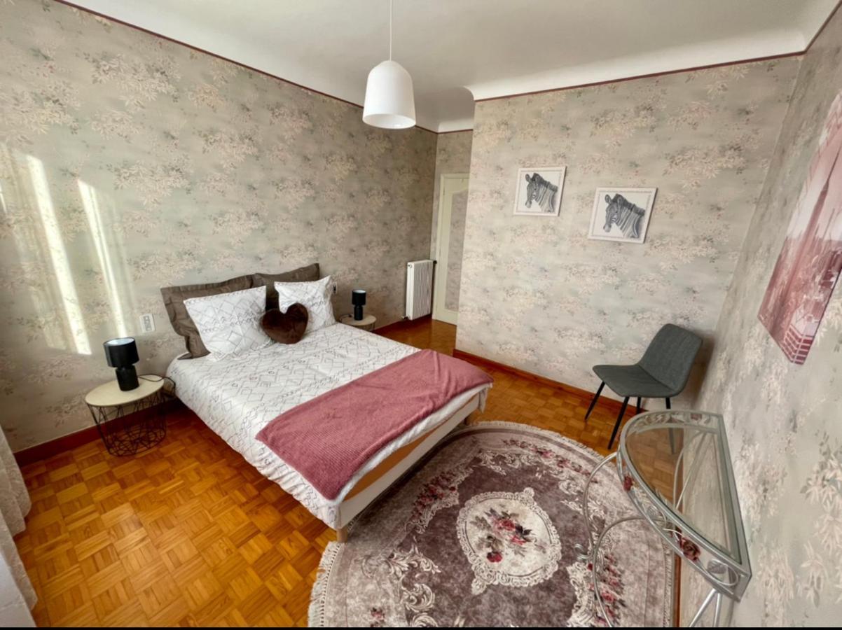 Tres Grand Appartement A 10 Min A Pied Du Centre Castres  Eksteriør bilde