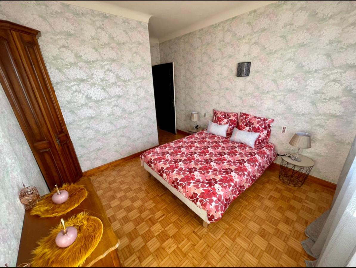 Tres Grand Appartement A 10 Min A Pied Du Centre Castres  Eksteriør bilde